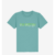060 TEAL MONSTERA